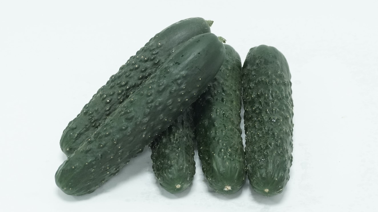 pepino