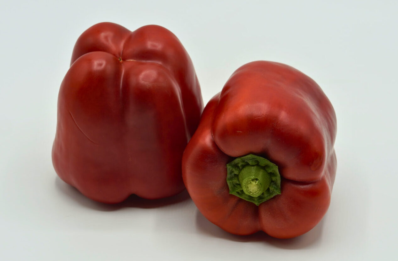 PIMIENTO