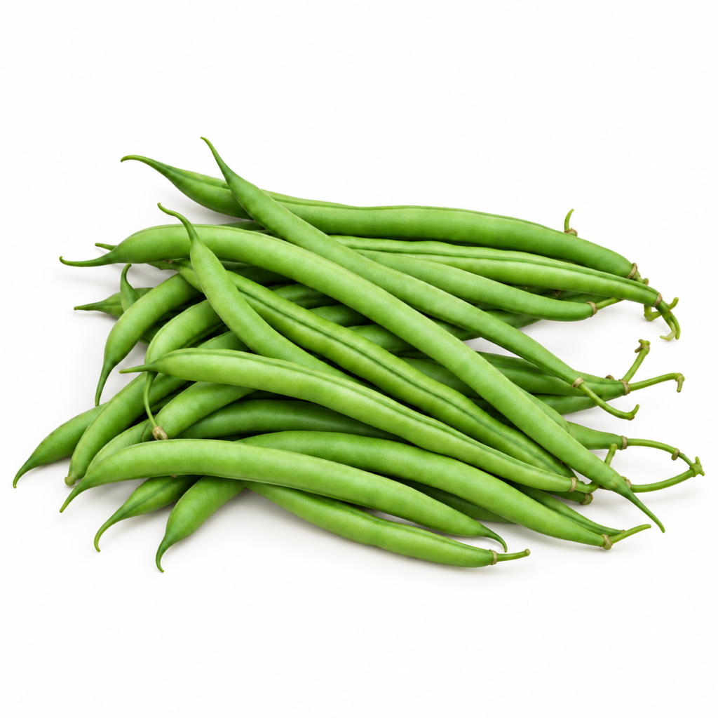 Judía Paquita - Granada Seeds
