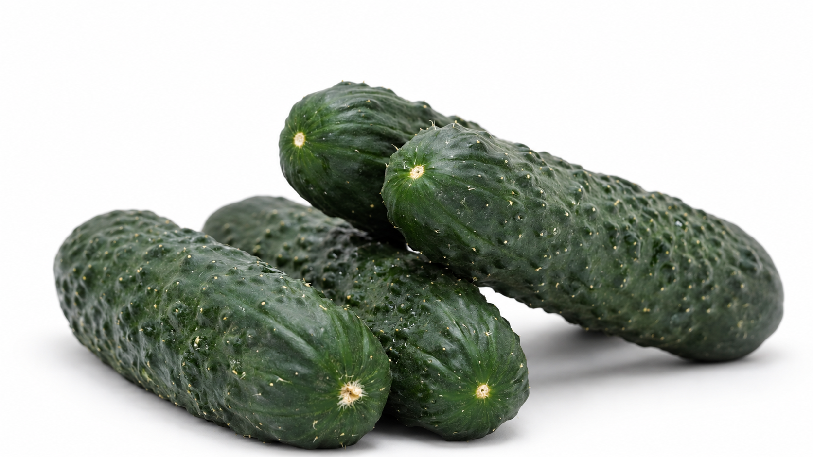 Pepino Clooney - Granada Seeds