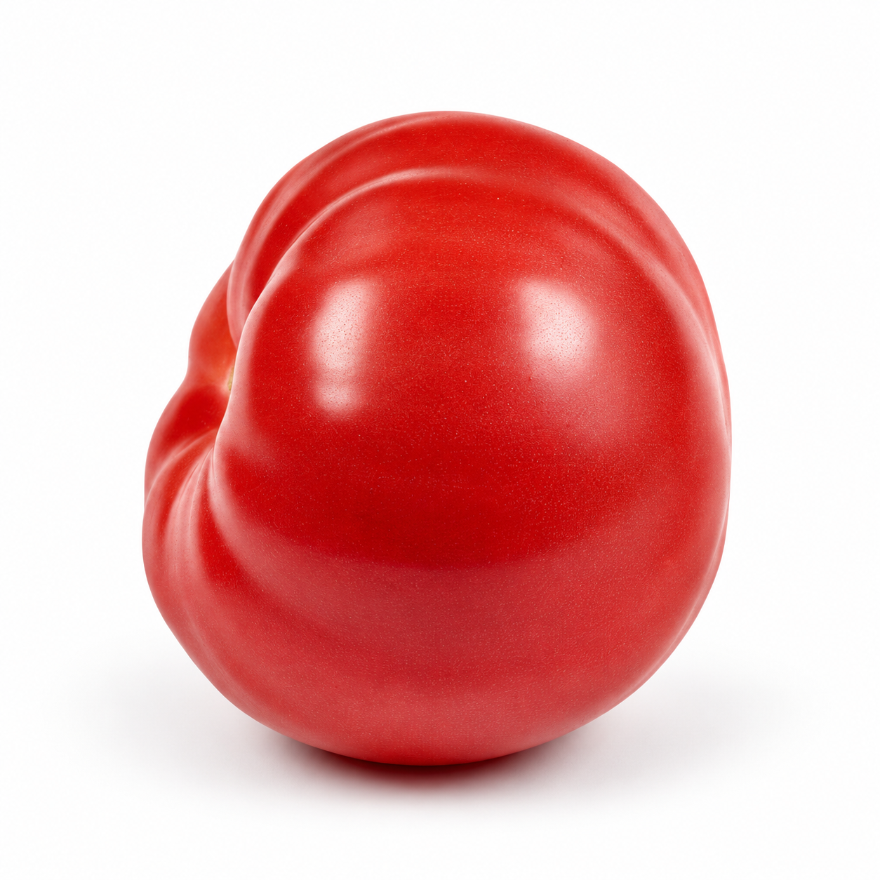 Tomate Kandelus - Granada Seeds